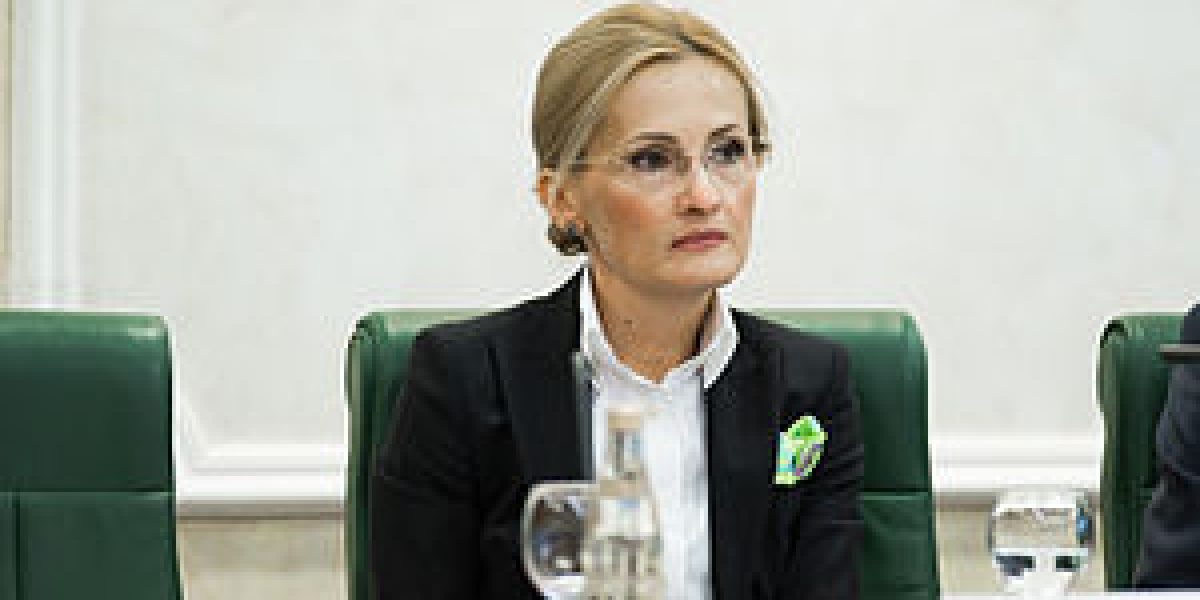 Яровая: Критику «антитеррористических» законов «заказали»