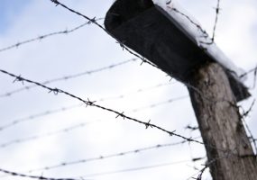 Путин подписал закон об уголовной ответственности за экстремизм в сети