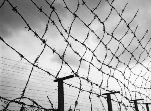 Власти запретили дублировать данные россиян на иностранных серверах