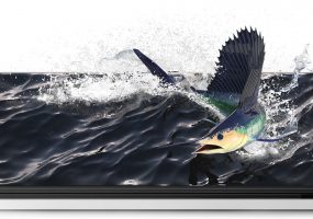 Победитель конкурса Минкомсвязи Jolla оказался в долгах