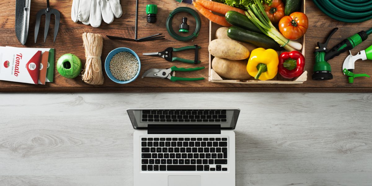 За продукты с рынка MoscowFresh теперь можно расплатиться картой