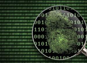 В России планируют создать платформу для найма «белых хакеров»