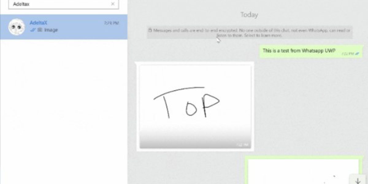 WhatsApp разработал новое приложение для компьютеров Windows и macOS похожее на Skype с возможностью делать рисунки
