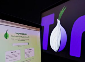 Tor заблокировали в России