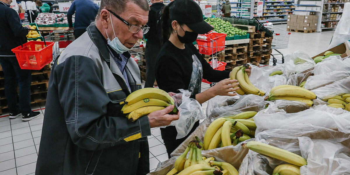 Российские ученые создали прибор для анализа качества продуктов по запаху