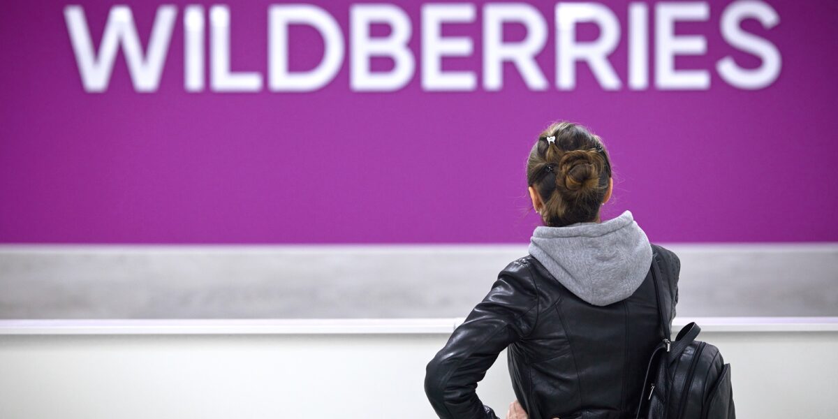 Глава DNS: схемы Wildberries и госдотации стоили бюджету 1,4 трлн рублей в 2024 году