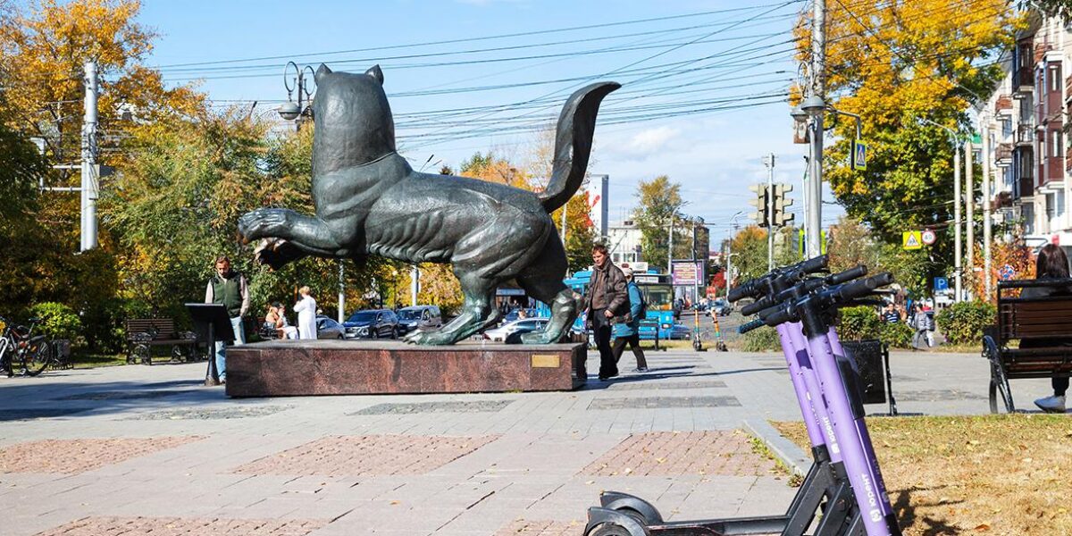 В Иркутске подготовят запрет на электросамокаты в парках и на набережных