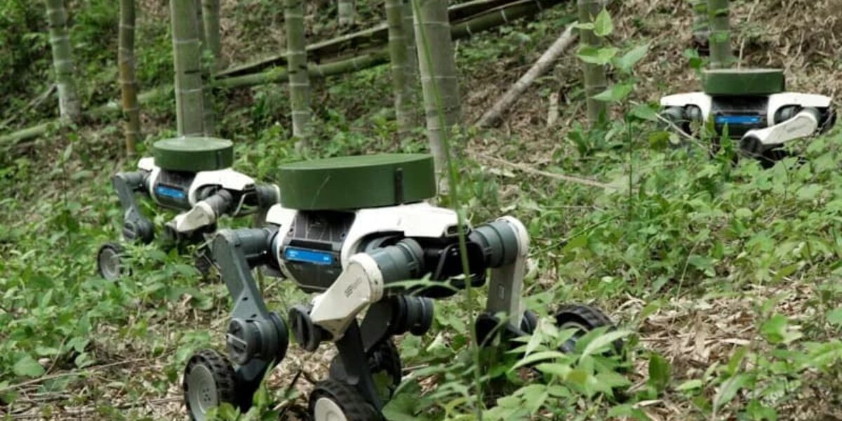 Deep Technology представила робота-рысь Lynx S10
