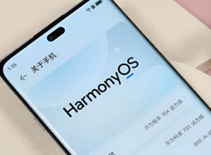 Huawei не торопится с глобальной HarmonyOS